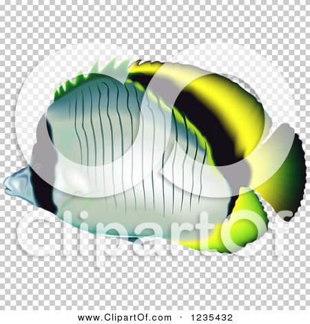 Transparent clip art background preview #COLLC1235432