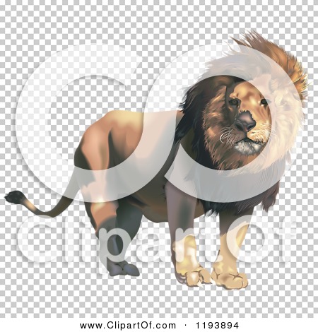 Transparent clip art background preview #COLLC1193894