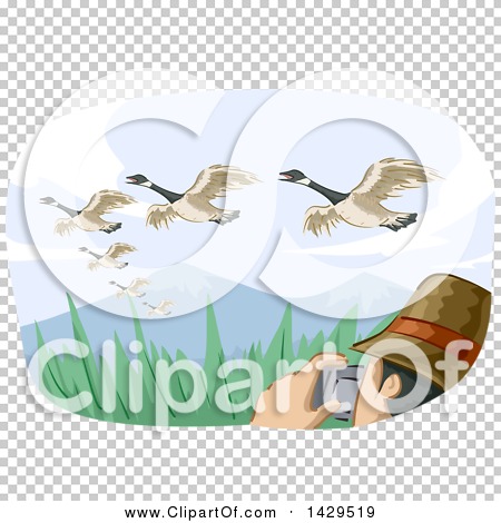 Transparent clip art background preview #COLLC1429519