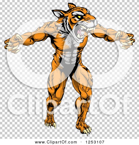 Clipart of a Muscular Fierce Tiger Man Attacking - Royalty Free Vector ...