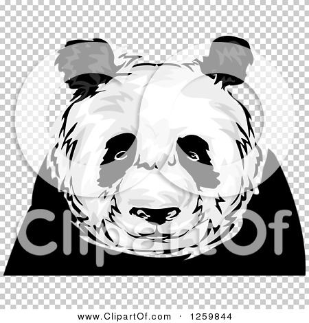 Transparent clip art background preview #COLLC1259844