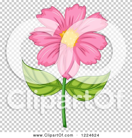 Clipart of a Pink Daisy Flower - Royalty Free Vector Illustration by