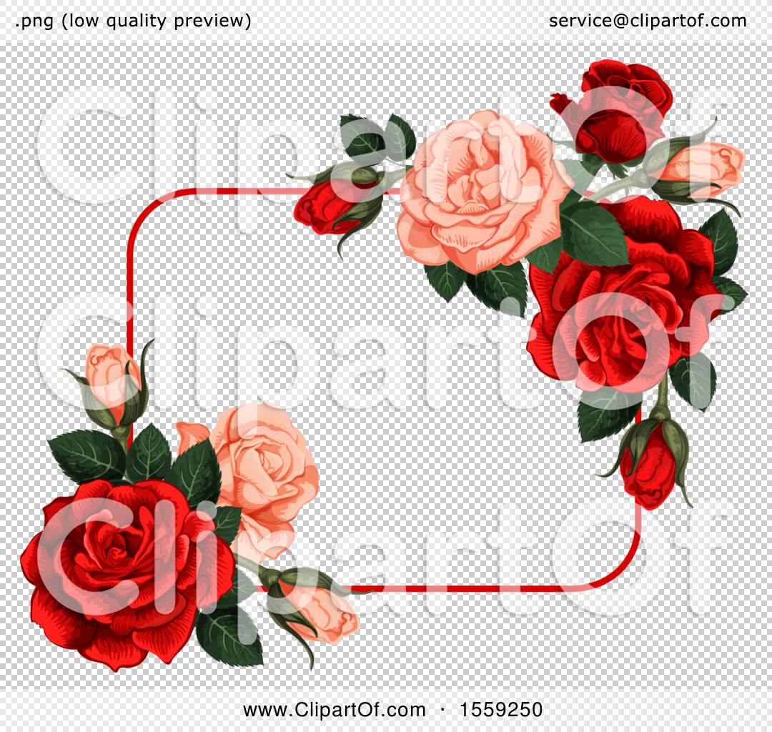 Rose Flower Frame Border Vector Illustration Background Royalty