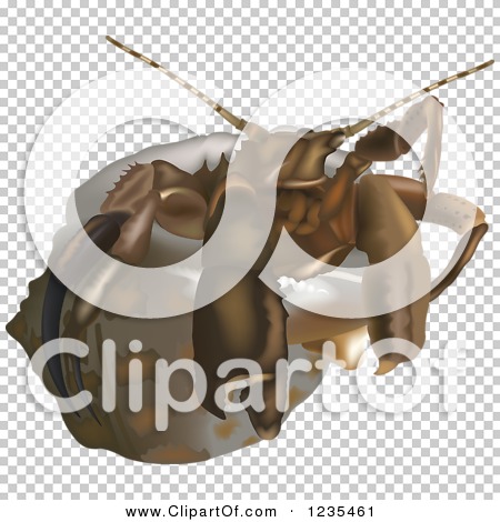 Transparent clip art background preview #COLLC1235461