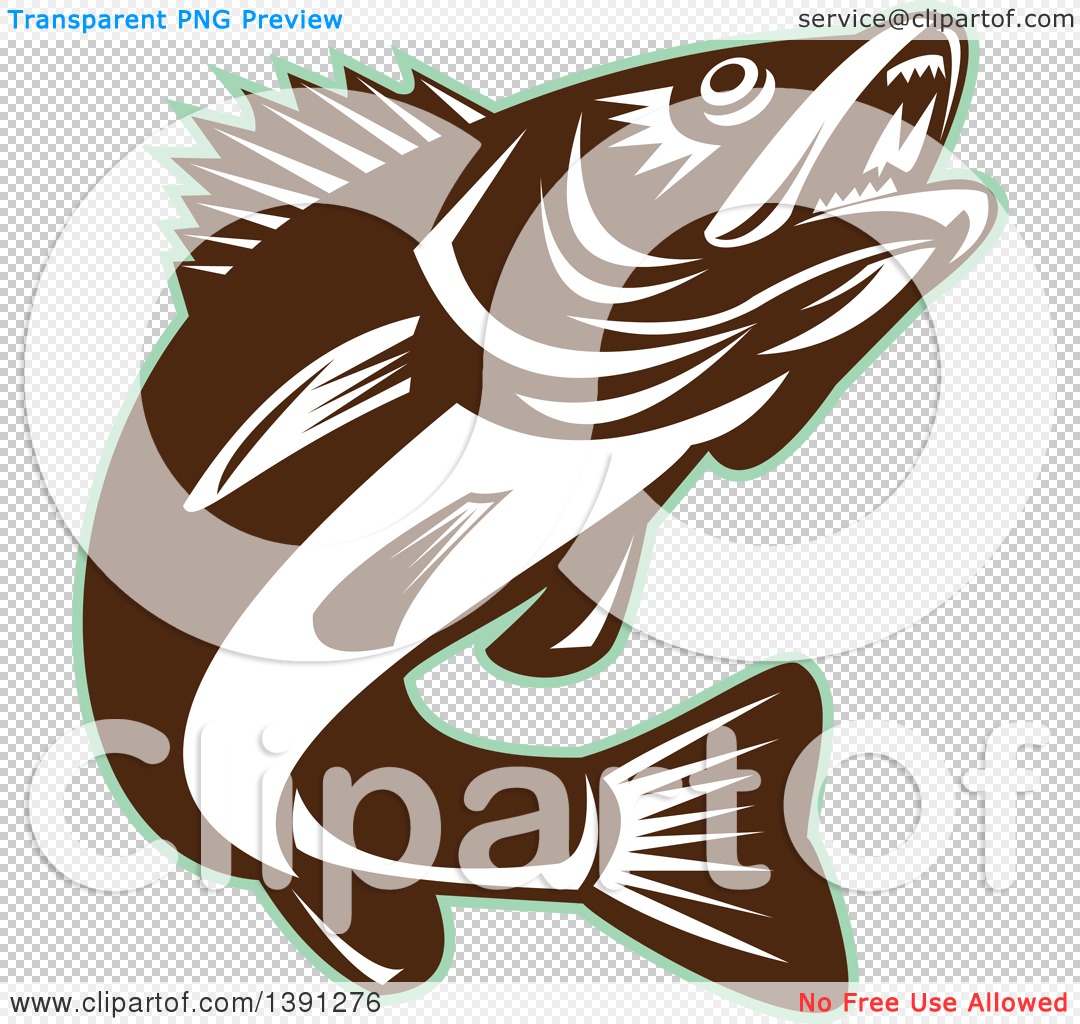 https://transparent.clipartof.com/Clipart-Of-A-Retro-Brown-And-White-Walleye-Fish-Jumping-With-A-Green-Outline-Royalty-Free-Vector-Illustration-10241391276.jpg