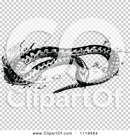 Transparent clip art background preview #COLLC1119564