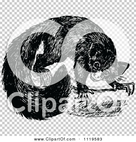 Transparent clip art background preview #COLLC1119583