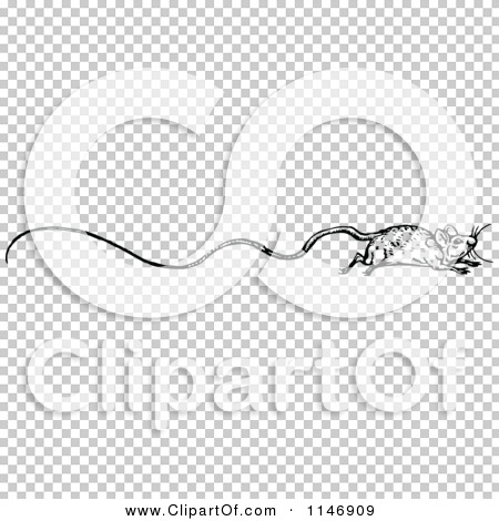 Transparent clip art background preview #COLLC1146909
