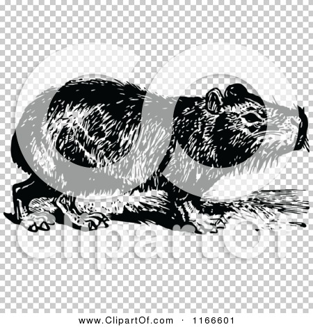 Transparent clip art background preview #COLLC1166601