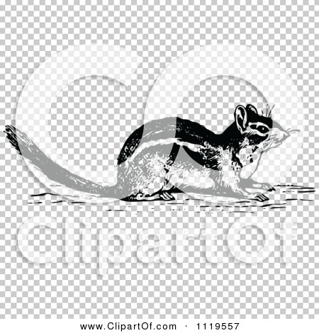 Transparent clip art background preview #COLLC1119557