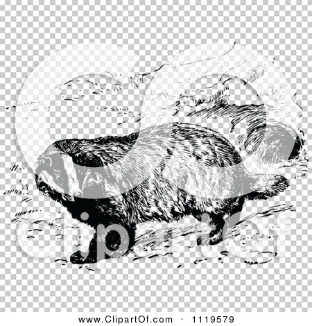 Transparent clip art background preview #COLLC1119579