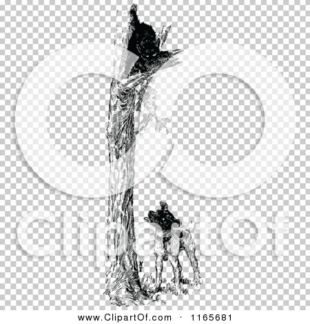 Transparent clip art background preview #COLLC1165681