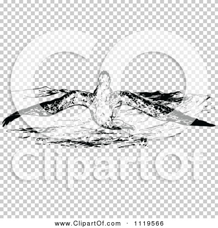 Transparent clip art background preview #COLLC1119566
