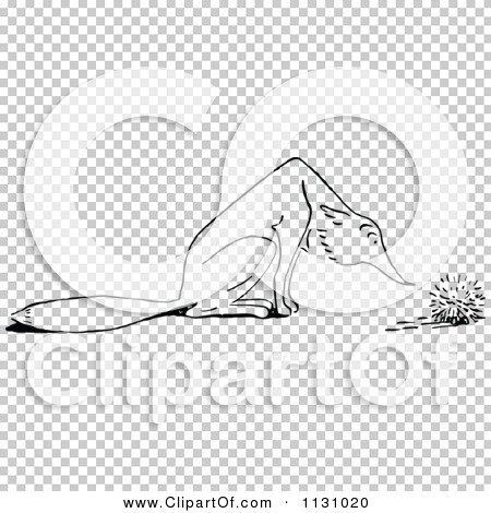 Transparent clip art background preview #COLLC1131020