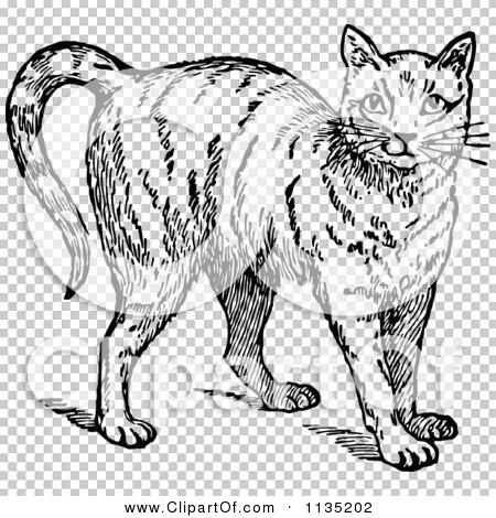 Clipart Of A Retro Vintage Black And White Friendly Cat - Royalty Free