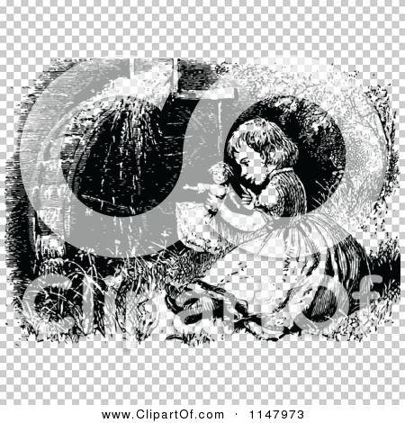 Transparent clip art background preview #COLLC1147973