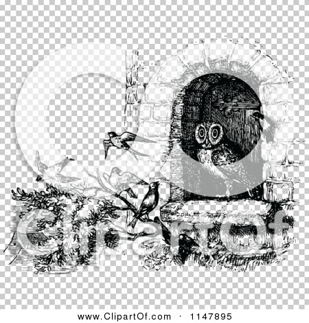 Transparent clip art background preview #COLLC1147895