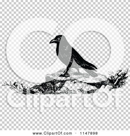 Transparent clip art background preview #COLLC1147898