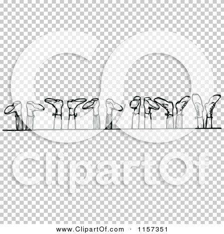 Transparent clip art background preview #COLLC1157351