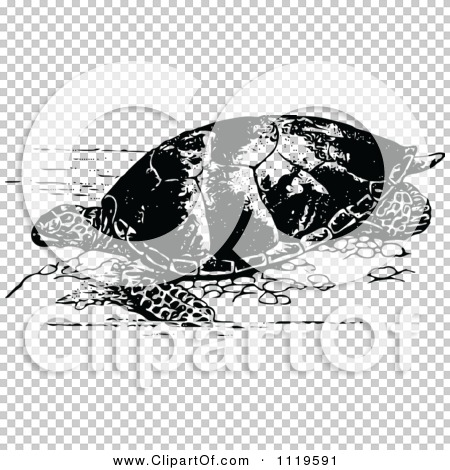 Transparent clip art background preview #COLLC1119591