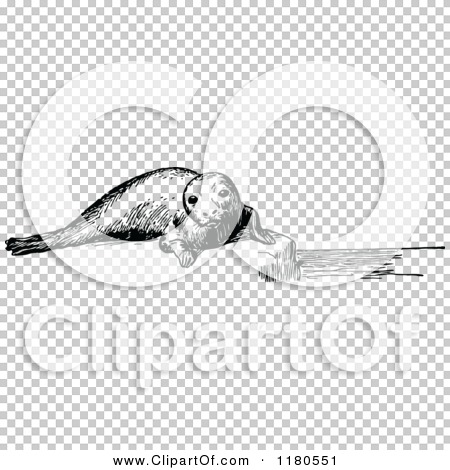 Transparent clip art background preview #COLLC1180551