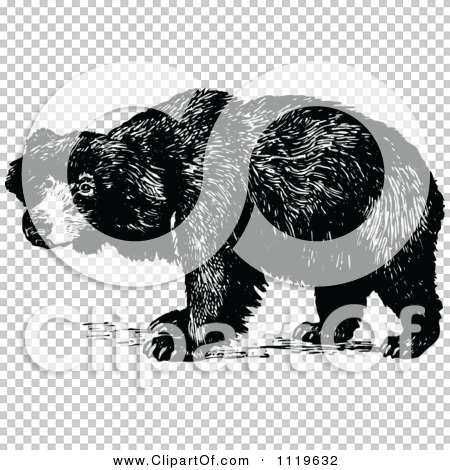 Transparent clip art background preview #COLLC1119632