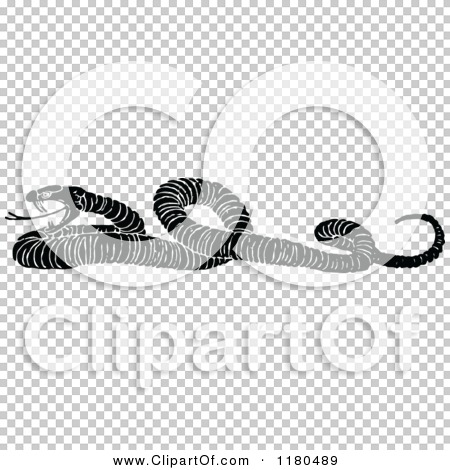 Transparent clip art background preview #COLLC1180489