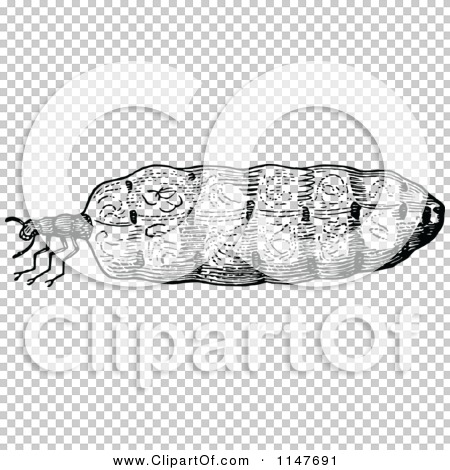 Transparent clip art background preview #COLLC1147691