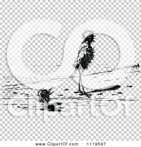 Transparent clip art background preview #COLLC1119597