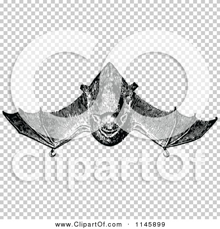 Transparent clip art background preview #COLLC1145899