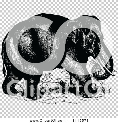 Transparent clip art background preview #COLLC1119573