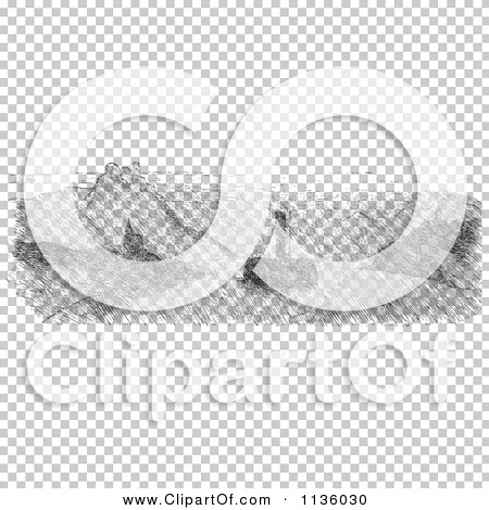 Transparent clip art background preview #COLLC1136030