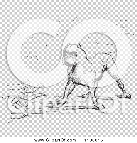Transparent clip art background preview #COLLC1136015