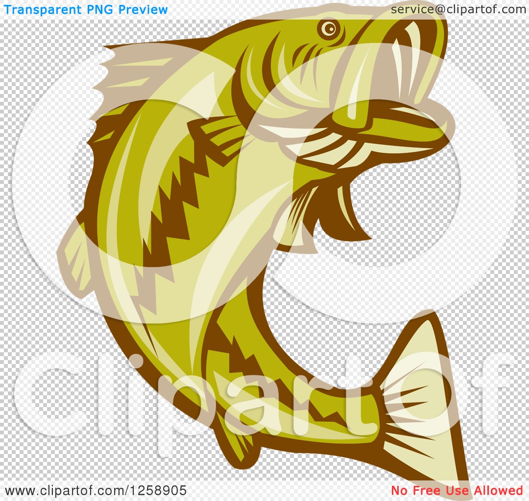 Clipart of a Retro Woodcut Largemouth Bass Fish Jumping - Royalty Free  Vector Illustration by patrimonio #1258905