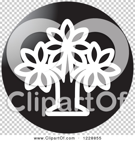 Transparent clip art background preview #COLLC1228855