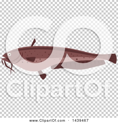 Transparent clip art background preview #COLLC1439467