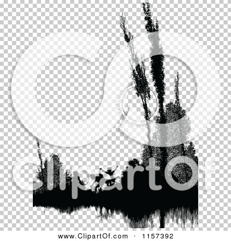 Transparent clip art background preview #COLLC1157392