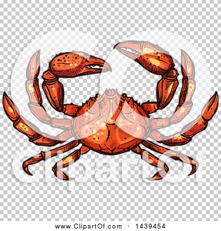 Clipart of a Sketched and Colored Crab - Royalty Free Vector