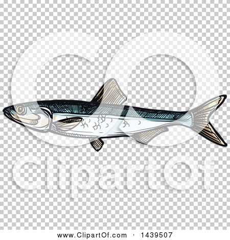 Transparent clip art background preview #COLLC1439507