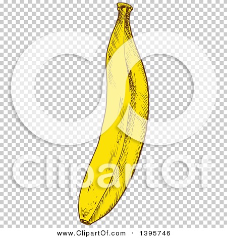 Clipart of a Sketched Banana - Royalty Free Vector Illustration by