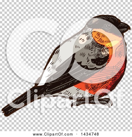 Transparent clip art background preview #COLLC1434748