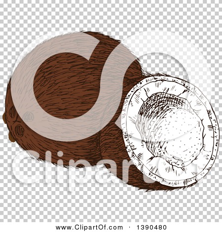 Transparent clip art background preview #COLLC1390480