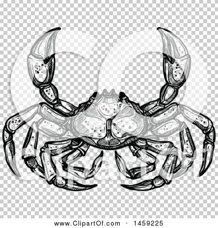 Clipart of a Sketched Crab in Black and White - Royalty Free Vector