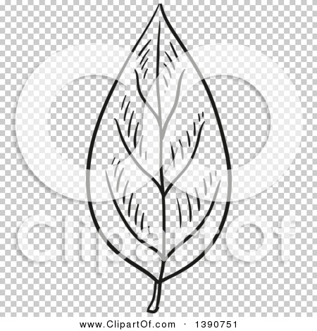 Transparent clip art background preview #COLLC1390751