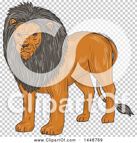 Clipart of a Sketched Drawing Styled Standing Lion - Royalty Free