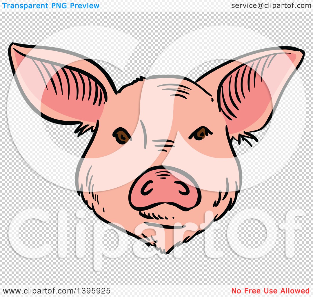 Clipart of a Sketched Pig Face - Royalty Free Vector Illustration by