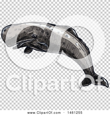 Transparent clip art background preview #COLLC1461255