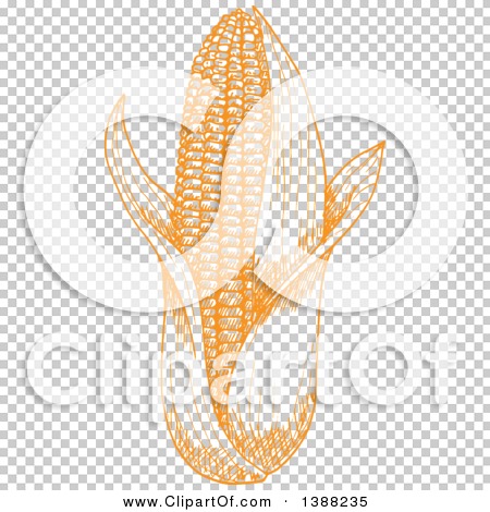 Transparent clip art background preview #COLLC1388235