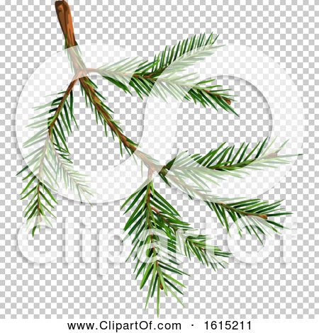 Clipart of a Spruce Tree Branch - Royalty Free Vector Illustration by