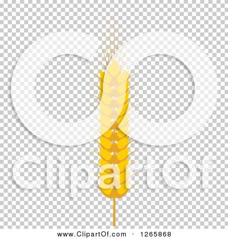 Transparent clip art background preview #COLLC1265868